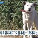 대자축산 이미지