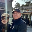 하이고래 이미지