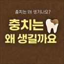 예치과의원 | 충치는 왜 생길까요? 여의도 예치과