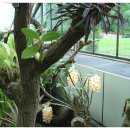 펄스트마켓 이미지