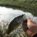 월아슈퍼 이미지