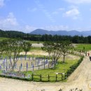 운주산승마자연휴양림 이미지