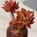 골든글라스 이미지