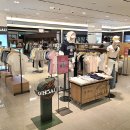 신세계패션 이미지