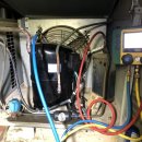 배대흥농장 이미지