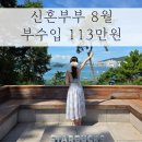 신혼부부 8월 부수입 113만원 세시간전 크리에이터 첫 수입