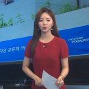 (주)부영창조 네이버블로그