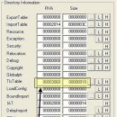 시스템보안전문가, IP 네트워크 scanning 기법, TLS callback이란 이미지