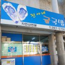 진아네 이미지