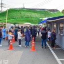 사적인 제주 이미지