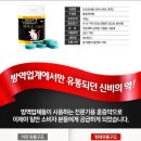 페스트캐치 - 남동구 인주대로 857 | 페스트캐치