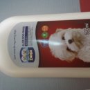 웰리스클리닉동물병원 이미지