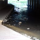 울산광역시 이미지