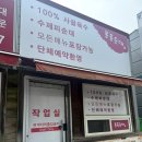 봉동순대 | 전북 완주 순댓국 맛집 봉동 순대 후기