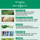 매일매일의 건강습관, 건강체조 | 메가실리엄, 변비약이 아닌 매일의 장 건강 습관