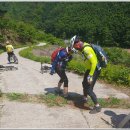 여주-0530 Daum카페