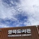 영덕도서관 | 영덕도서관 평일 방문 후기