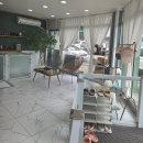 꼬리빗 | 광주애견미용 첨단 애견미용 꼬리빗 방문 후기