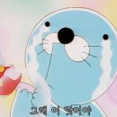 연어가생각날때