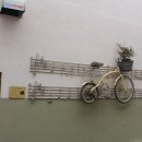 세광한의원 이미지