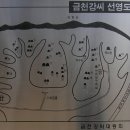 금천 강씨 묘역 이미지