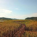 신성리생태공원 이미지