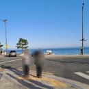 화진산곰장어바다장어 | 부산 해운대 송정해수욕장앞 조개구이 산곰장어 왕새우구이 전복조개탕 조개구이집 바다장어와 산낙지까지