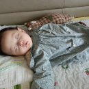 윤우목장 이미지