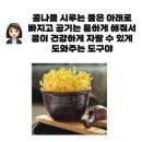 대전청사아람어린이집 | 콩과 함께 시작된 우리들의 이야기 _ by 대전청사아람어린이집