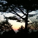 비치테라스 이미지