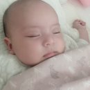 아이존모텔 | [생후 111~120일차 아기] 110일 아기 발달상황 체크/뒤집기 시작/3~4개월 장난감 추천/신생아 수면교육...