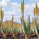 원종화장품 이미지