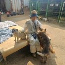 댕이곳간 이미지