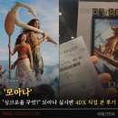 "싱크로율 무엇?" 모아나 실사판 영화 관람평 직접 4DX로 본 후기 리뷰