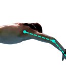 하이캐치 이미지