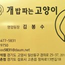 개밥파는고양이판교대장점