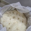 대지로1L | 찹쌀막걸리 만들기 | 집에서 누룩 발효 전통 수제 막걸리 도전 후기 (쉽고 실패 없는 방법)