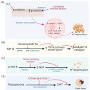 5년간 고통받았던, 탈모 극복 했습니다 (+해결법) 이미지