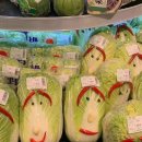 센스쟁이 이미지