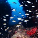 소라여관 이미지