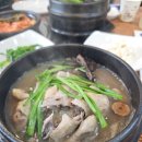 농수산마을 | 초복 음식으로 서울 석관동 능이삼계탕 맛집에서 먹은 중복 말복에도 먹기 좋은 능이마을 본점 보양식 후기