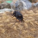 용운농장 이미지