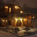 황토버섯 이미지