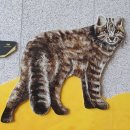 소원초등학교 | (230601)경수산악회 충남 태안 신두리해안사구 탐방 및 해변2길/태배길 트레킹