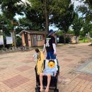 카페인어반스페이스 | 어반콘크리트 웨건 유아웨건 실사용 후기