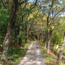 태풍 17호 타파가 지나간 모악산 이미지