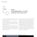 더플렉스(The Flex) 이미지