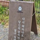 오리야홍돼가자 | 경기 양평 시로네운동장 소형견 대형견 애견 카페 내돈내산 후기
