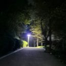 봉래산주차장 | 부산야경 영도봉래산 쉬운코스30분 로맨틱데이트하기