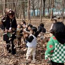 띵까띵까 이미지